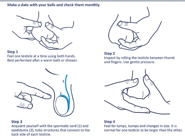 How To Fondle Balls and nutrients