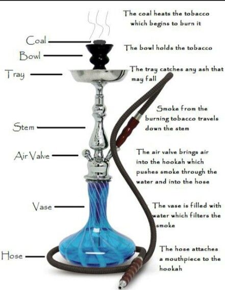 ana ardeleanu recommends How To Hookah Tricks