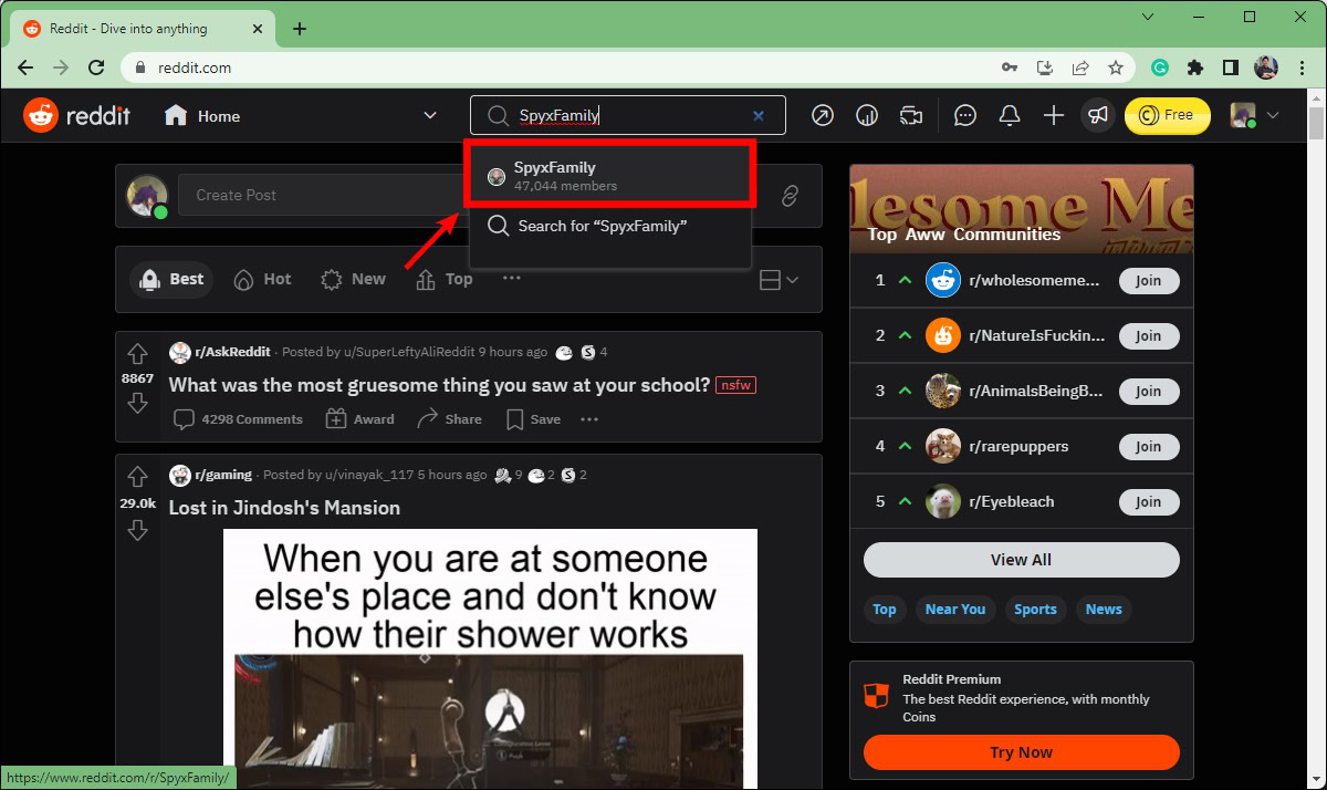 Best of How to search eroshare