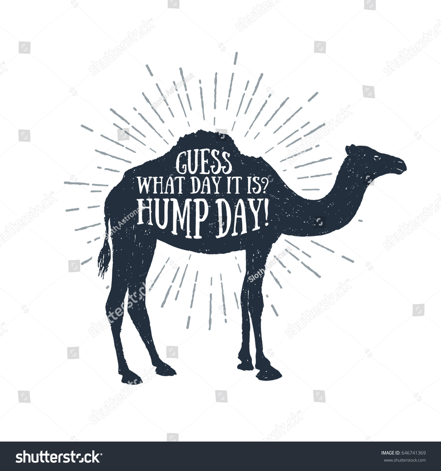 Hump Day Image the inside