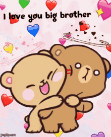 aanya sethi recommends i love you brother gif pic