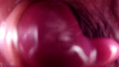 danielle plunkett recommends internal view of creampie pic
