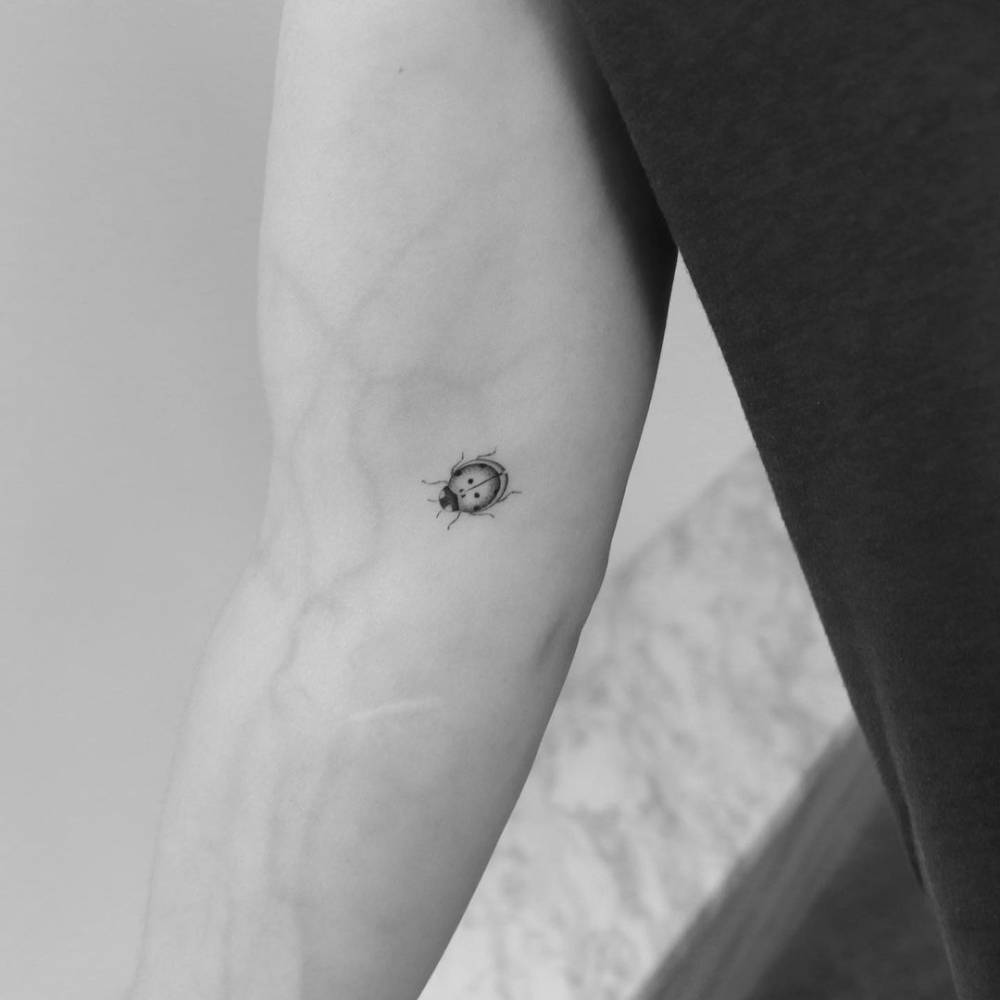 charles demartino recommends ladybug tattoo black and white pic
