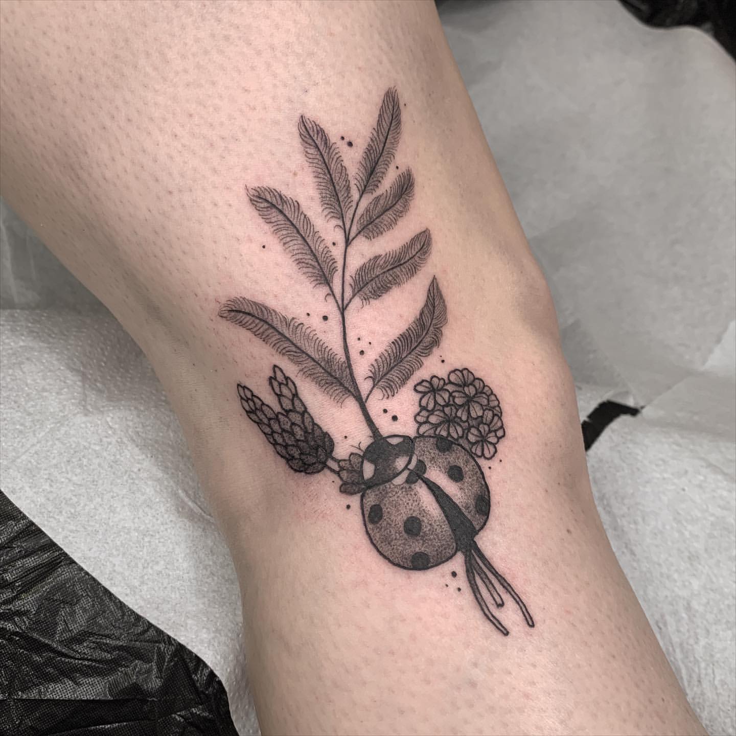 domenique gordon share ladybug tattoo black and white photos