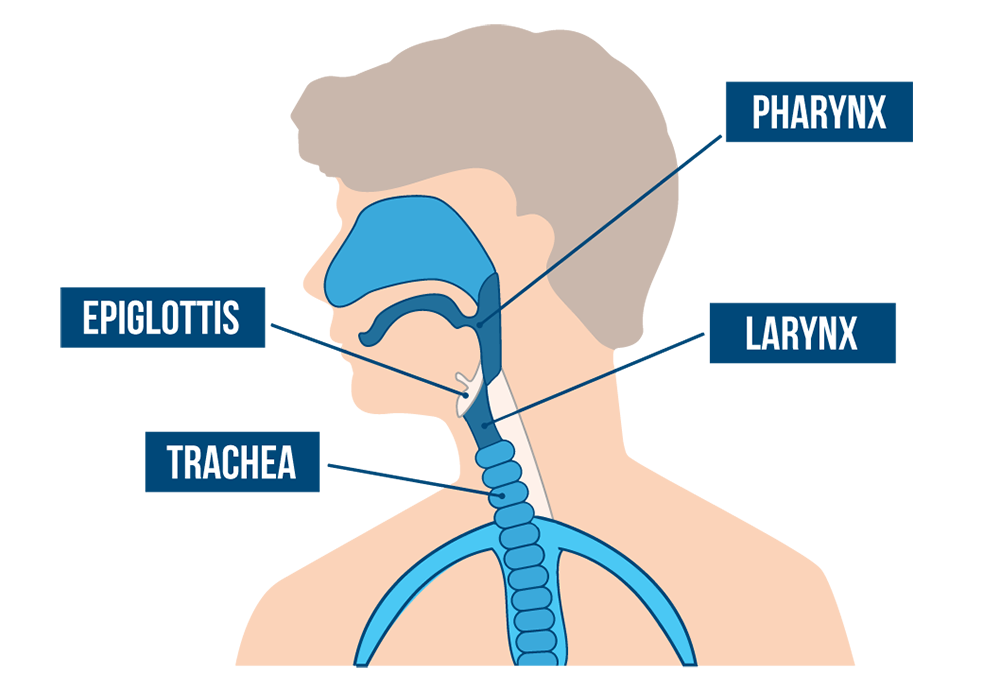 brandon bohannon recommends learning to deep throat pic