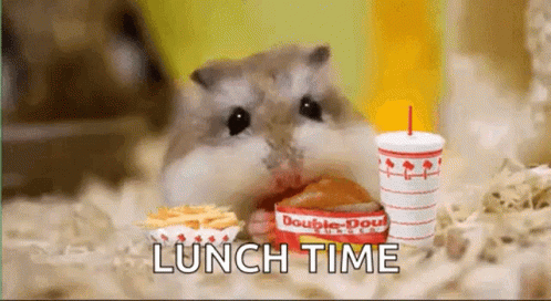 carey cady recommends lunch time gif pic