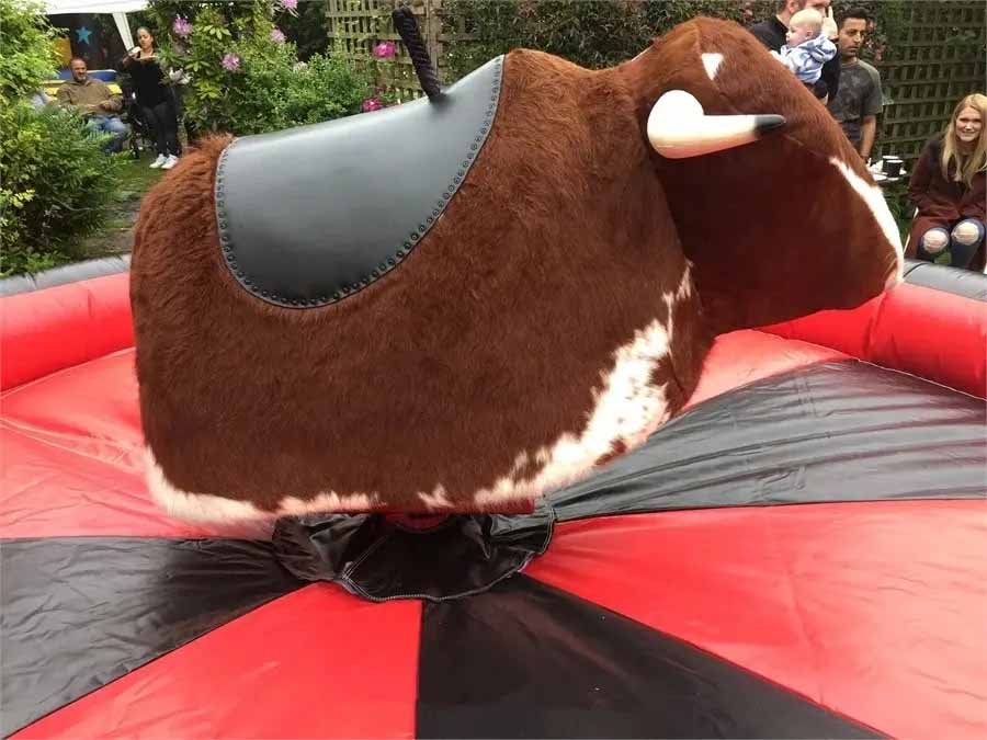 bryan harker recommends mechanical bull riding videos pic