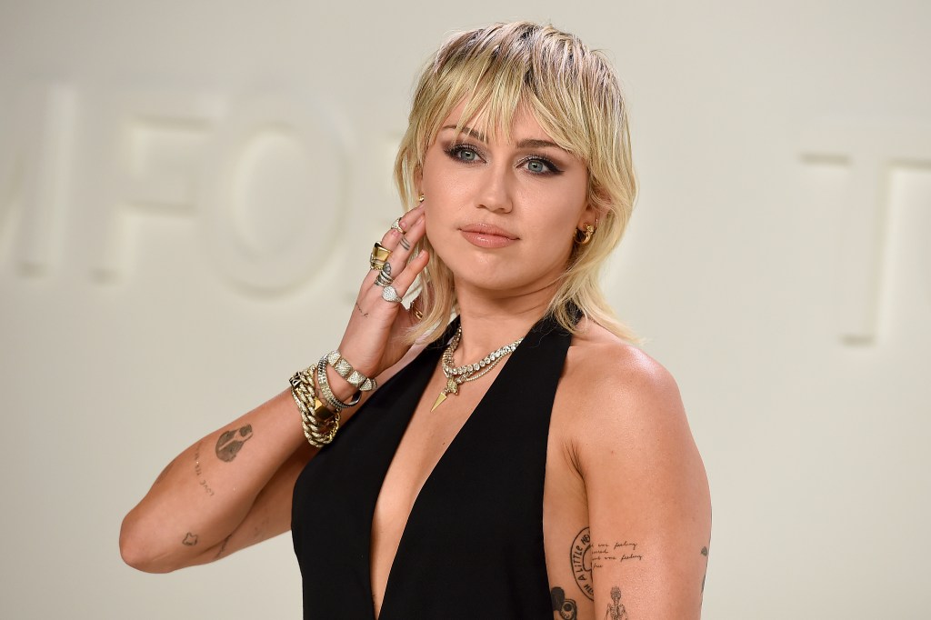 donna cooperman recommends Miley Cyrus Facetime Nudes