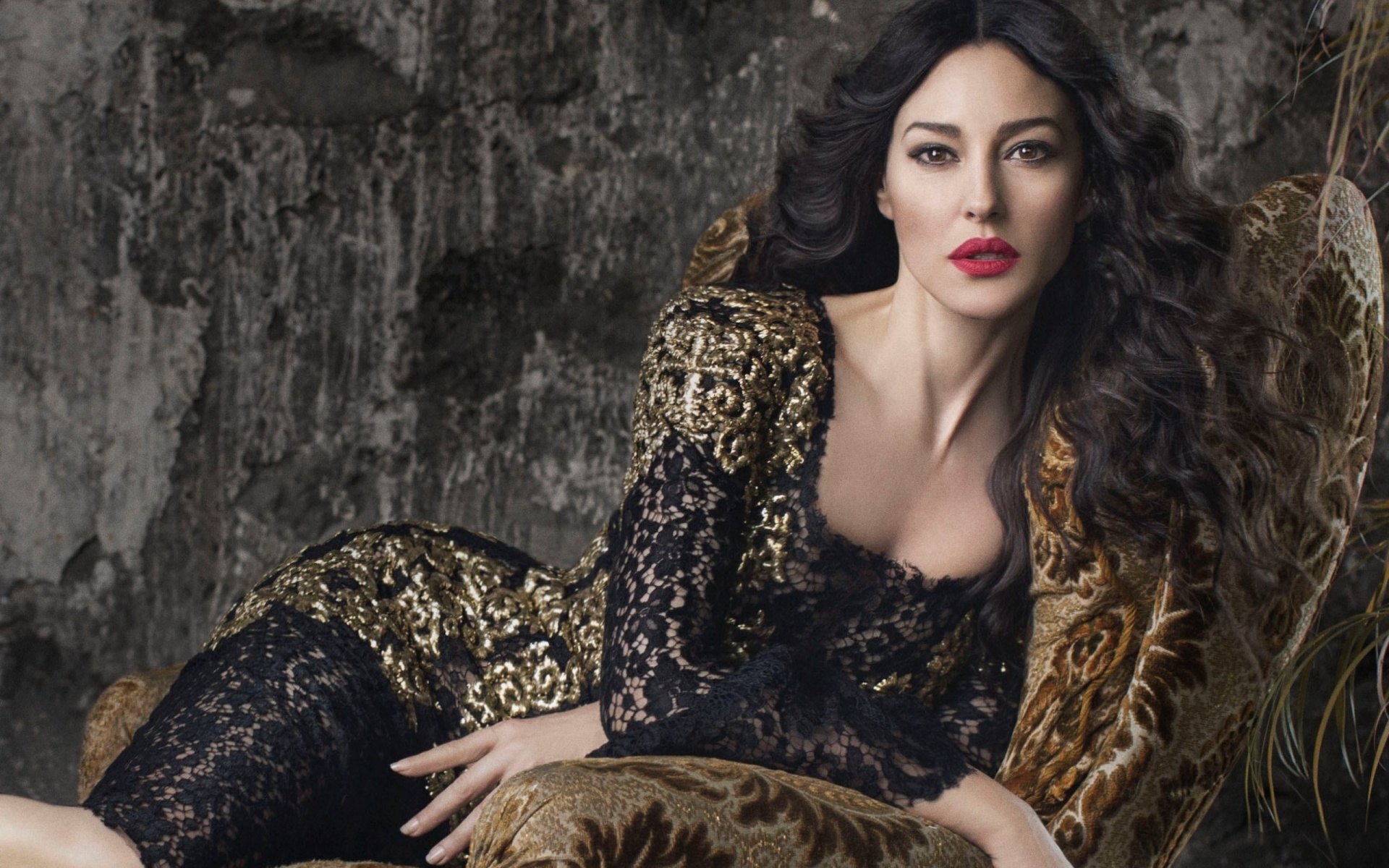 becky chadwick recommends Monica Bellucci Hd Pics