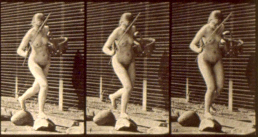 darlene westbrook recommends Nude Women In Motion