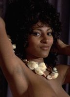 Pam Grier Nudes bang tube