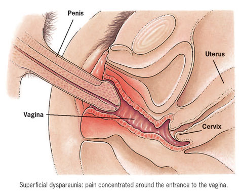 penis in vagina images
