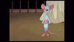 carol schaffer recommends Pinky And The Brain Gif
