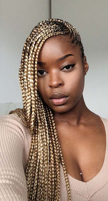 christina m edwards recommends platinum blonde lemonade braids pic