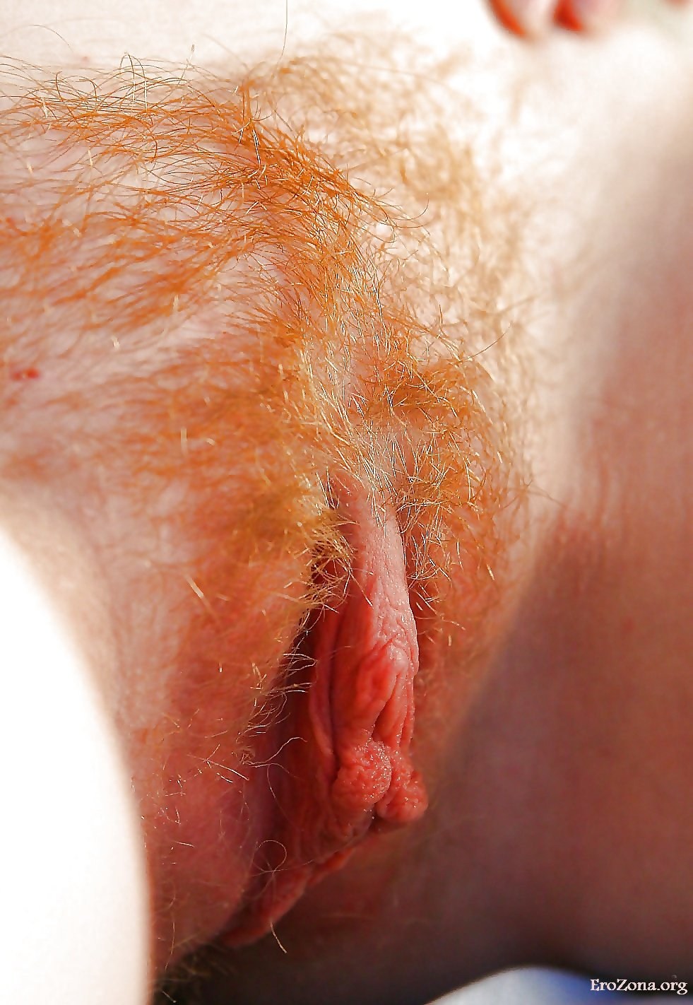 pussy hair close up