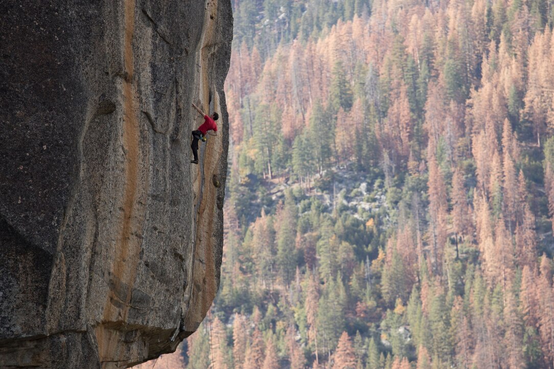 Best of Reddit free solo movie