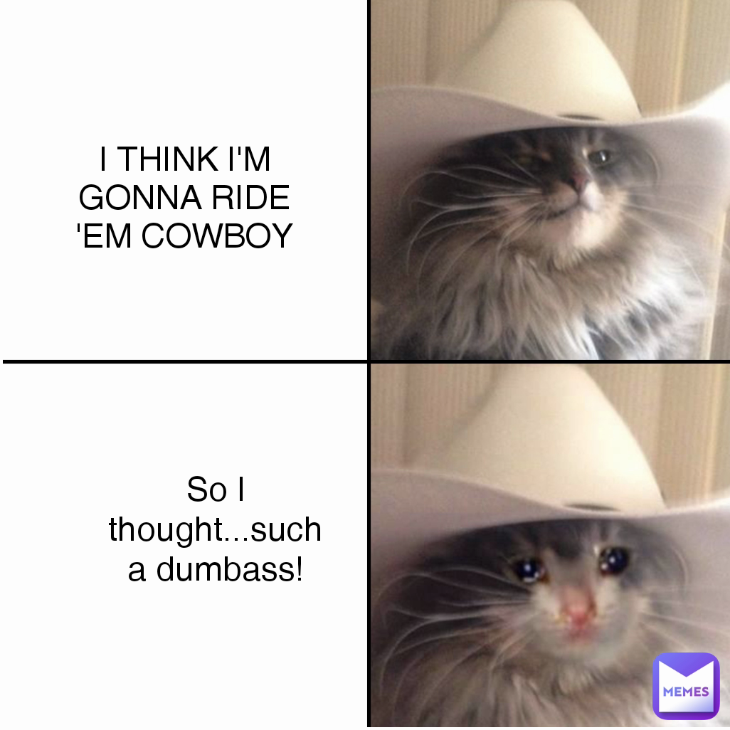 amy fiel add photo ride em cowboy meme