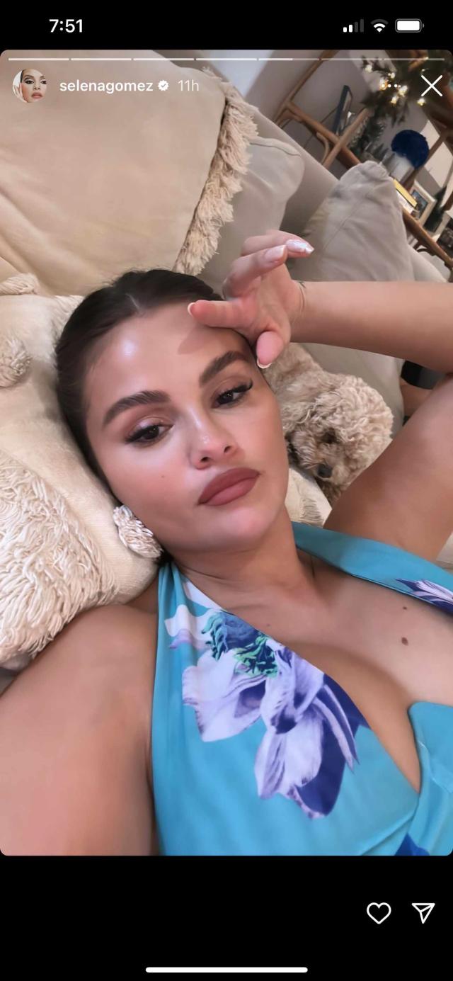 david fanjoy recommends selena gomez nude reddit pic