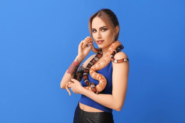 alan millard add photo sexy girl with snake