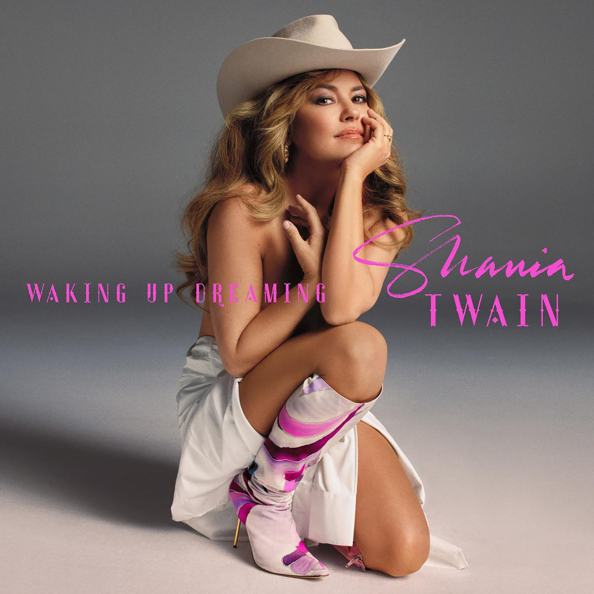 carisa swart recommends Shania Twain Naked