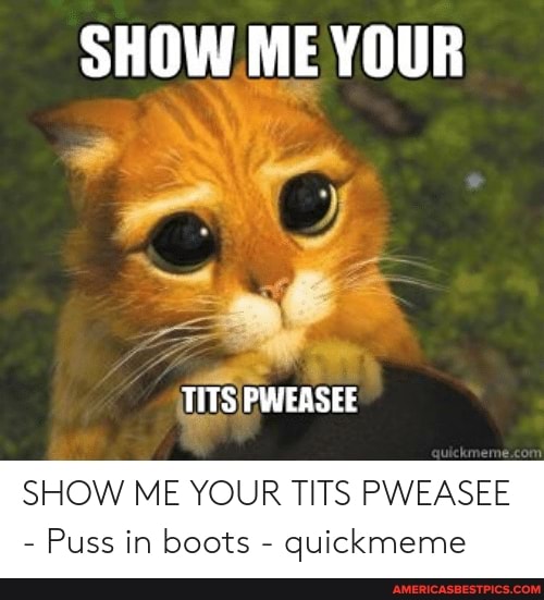 amy bybee recommends show me your tits meme pic