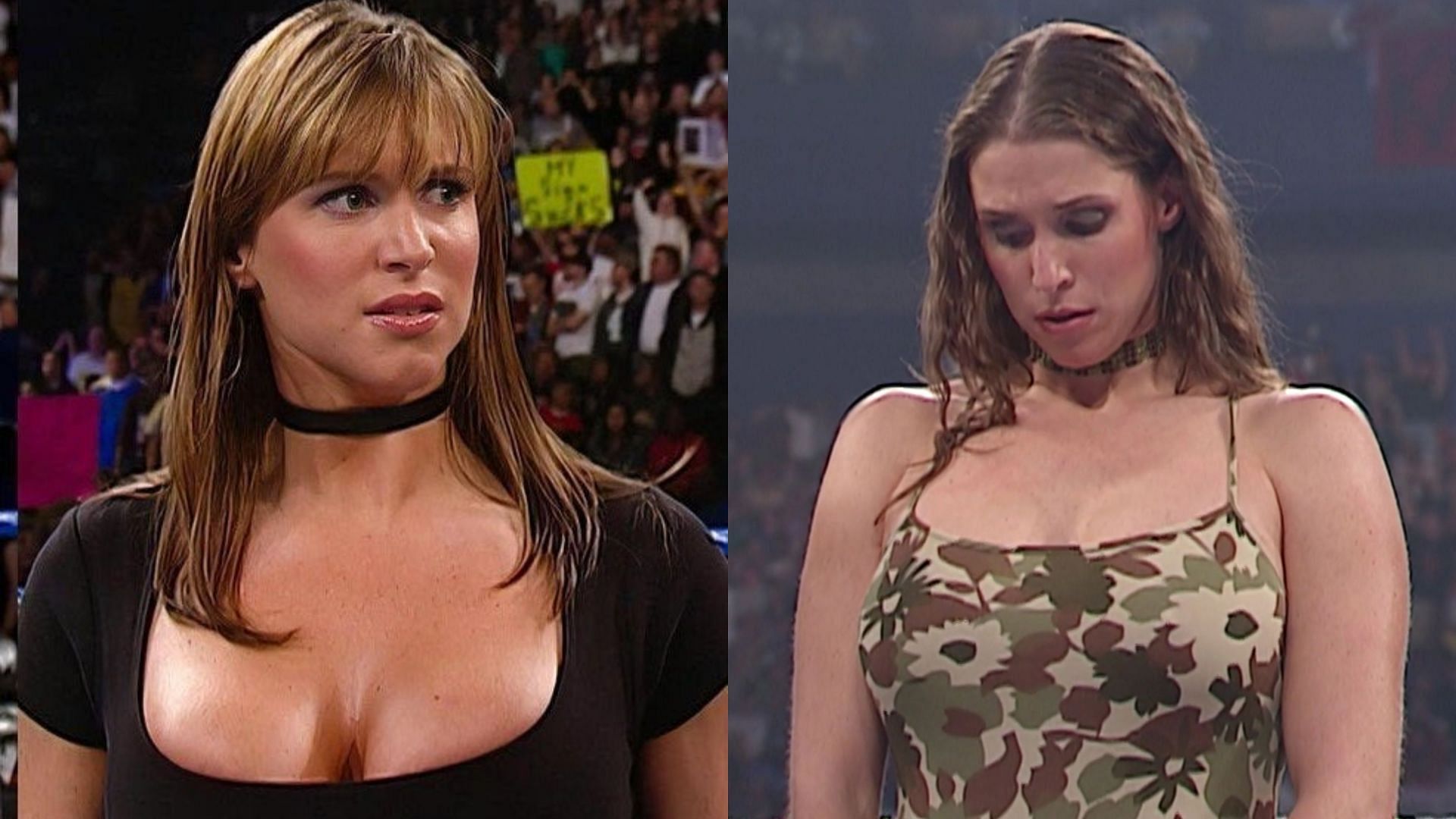 brian steeves recommends stephanie mcmahon naked videos pic