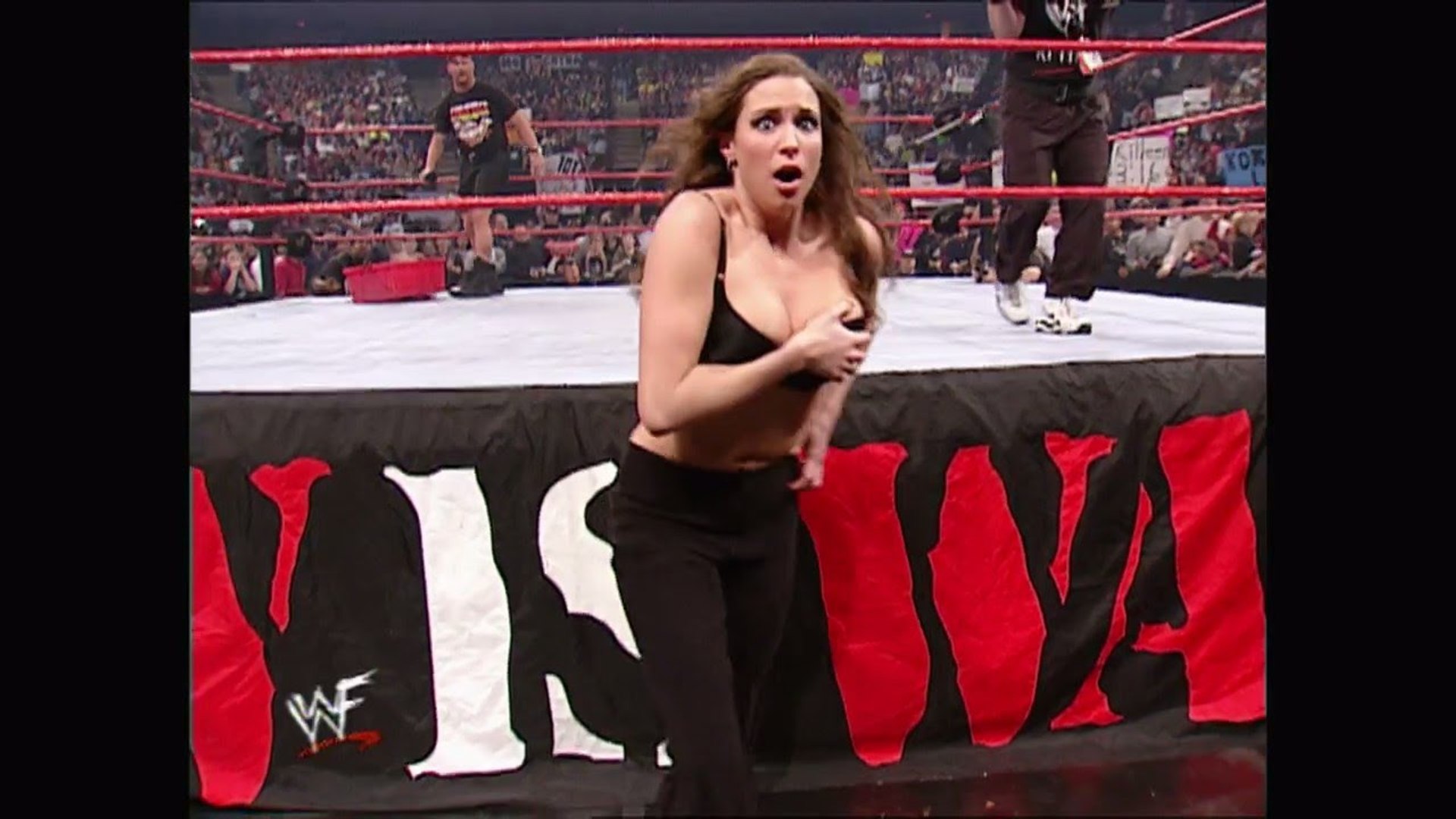 donna vantassel recommends Stephanie Mcmahon Naked Videos