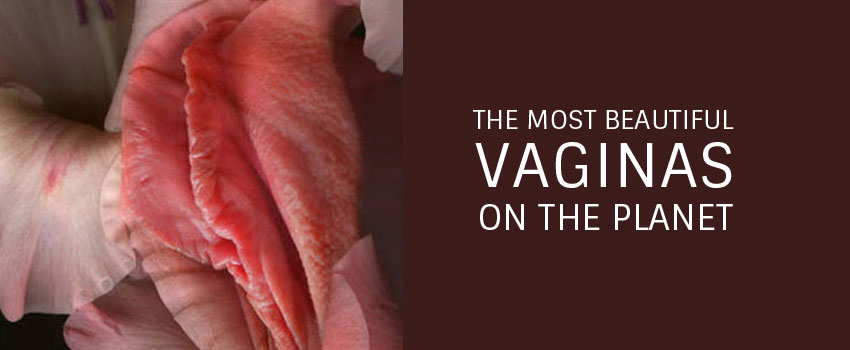 daniel cogar recommends the best looking vagina pic