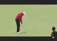 tiger woods funny gif