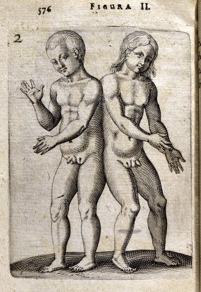 Two Hermaphrodites Having Sex chelsea november