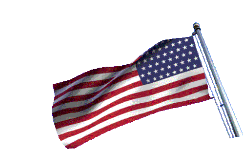 caroline linton recommends Usa Flag Gif