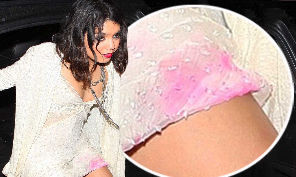 charles scheepers recommends vanessa hudgens pussy pictures pic