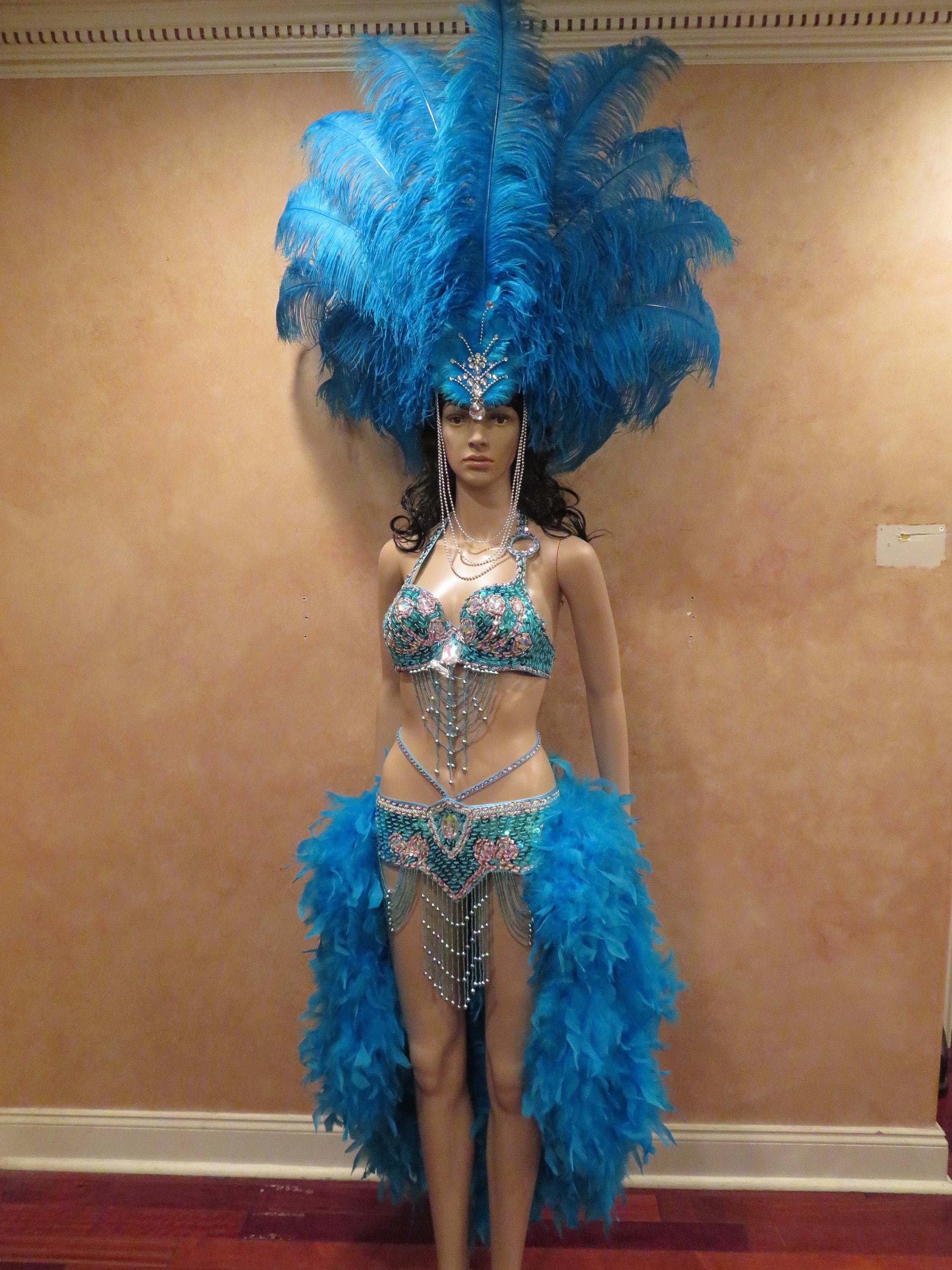 Best of Vegas showgirl images
