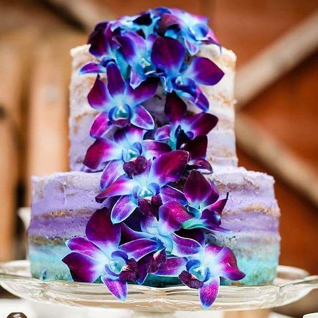 criscel ramos add violet blue naked photo