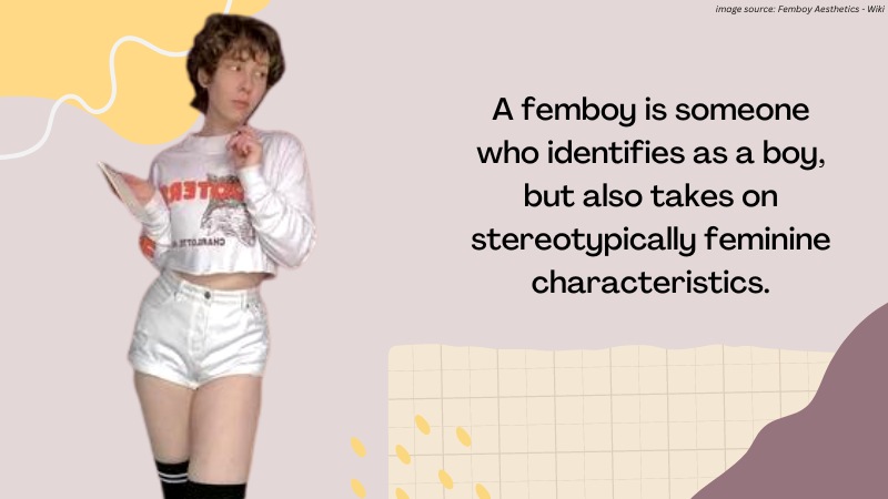 baylee nicole recommends What Is A Femboy